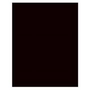 ROYAL LACE Royal Consumer Products 24309 22 x 28 in. Black Posterboard- Pack Of 25
