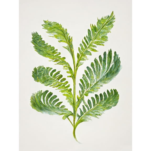 Royal Fern Leaf Modern Watercolour Botanical Large Wall Art Poster Print Thick Paper 18X24 Inch