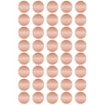 thumbnail image 1 of Royal Green Rose Gold Stickers Labels (19MM) Metallic Dots for Packaging, Bags and Boxes 3/4 Inch - 1000 Pack, 1 of 8