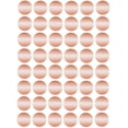 thumbnail image 1 of Royal Green Sticker Dots 11/16" Inch (17mm) Color Labels in Rose Gold - 2400 Pack, 1 of 8