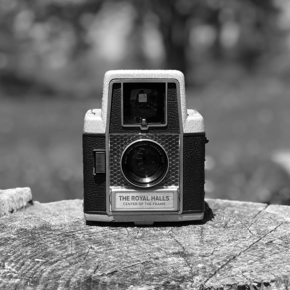 Royal Halls - Center Of The Frame - World / Reggae - Vinyl