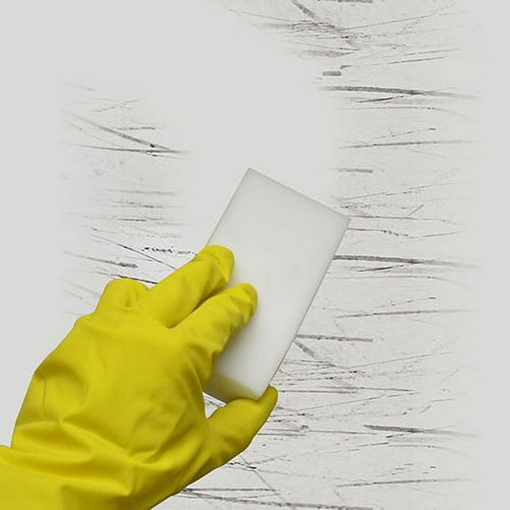 Royal Individually Wrapped Wipe Out Sponge, 24 Ct