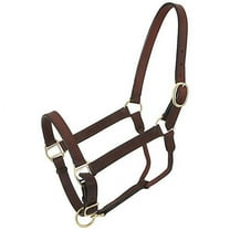Royal King Leather Stable Halter Brown