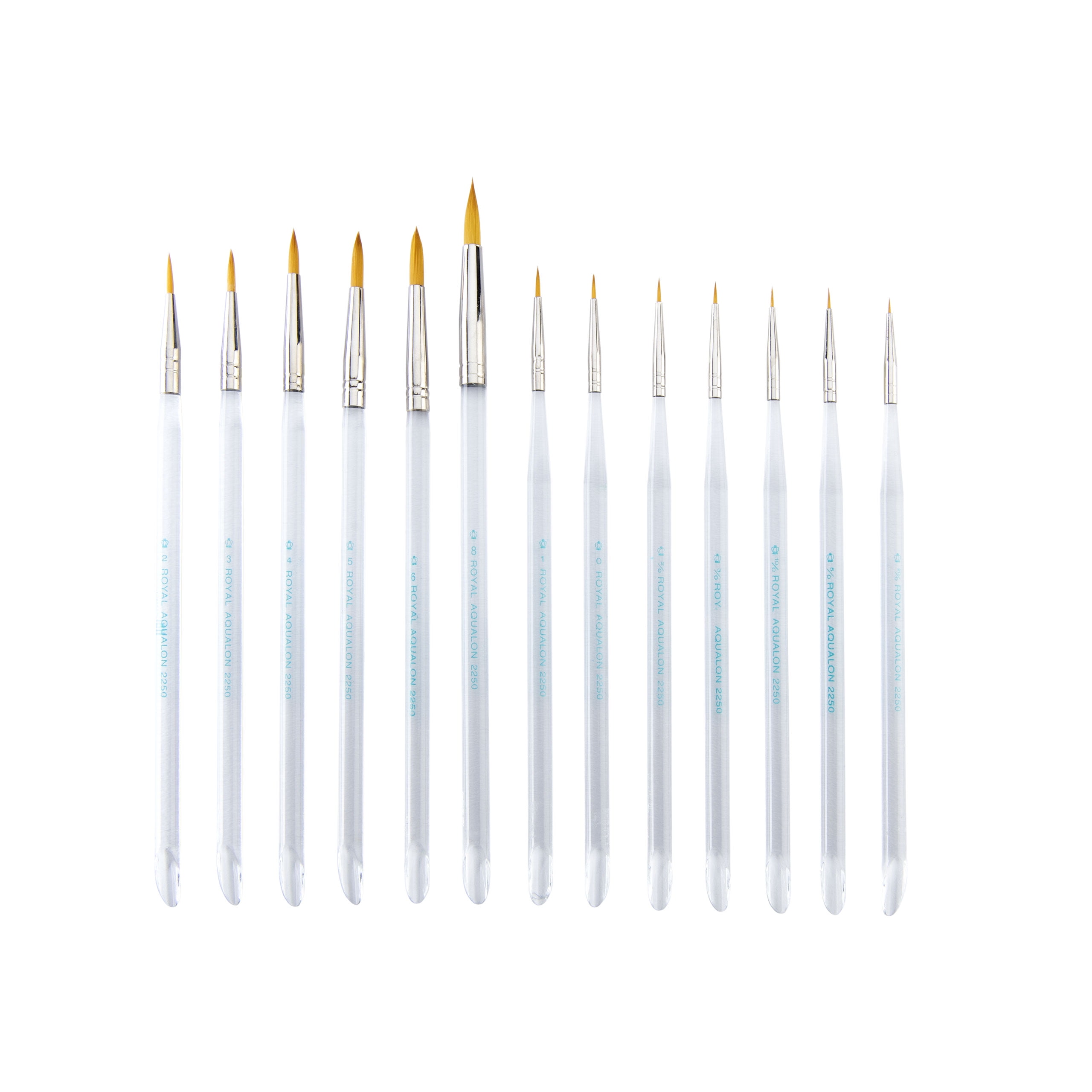 Aqualon Royal & Langnickel Professional Artist Brush Set, 5-Piece Clear  Acrylic Standard Handle