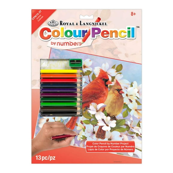 CPN15 | Colour Pencil by numbers 13pc 8.75" x 11.75" Cardinals Project