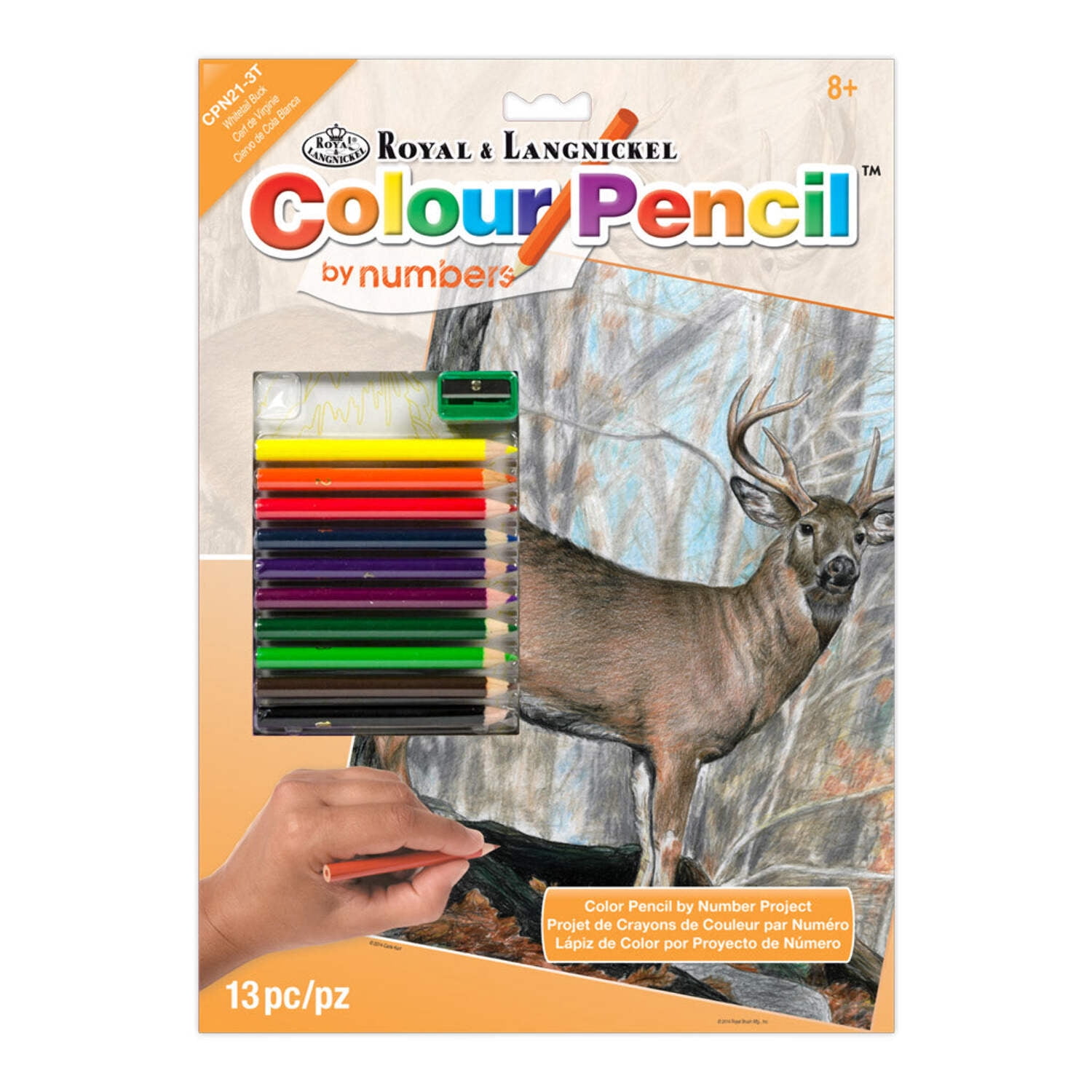 Color Buck Numbers CPN21 | Colour Pencil by numbers™ 13pc 8.75