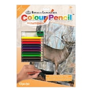 CPN21 | Colour Pencil by numbers™ 13pc 8.75" x 11.75" Whitetail Buck Project