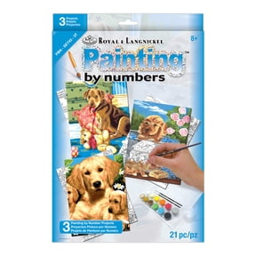 Royal & Langnickel Junior Small Paint By Number Kit, Includes 3 per Package, For Kids Ages 8+