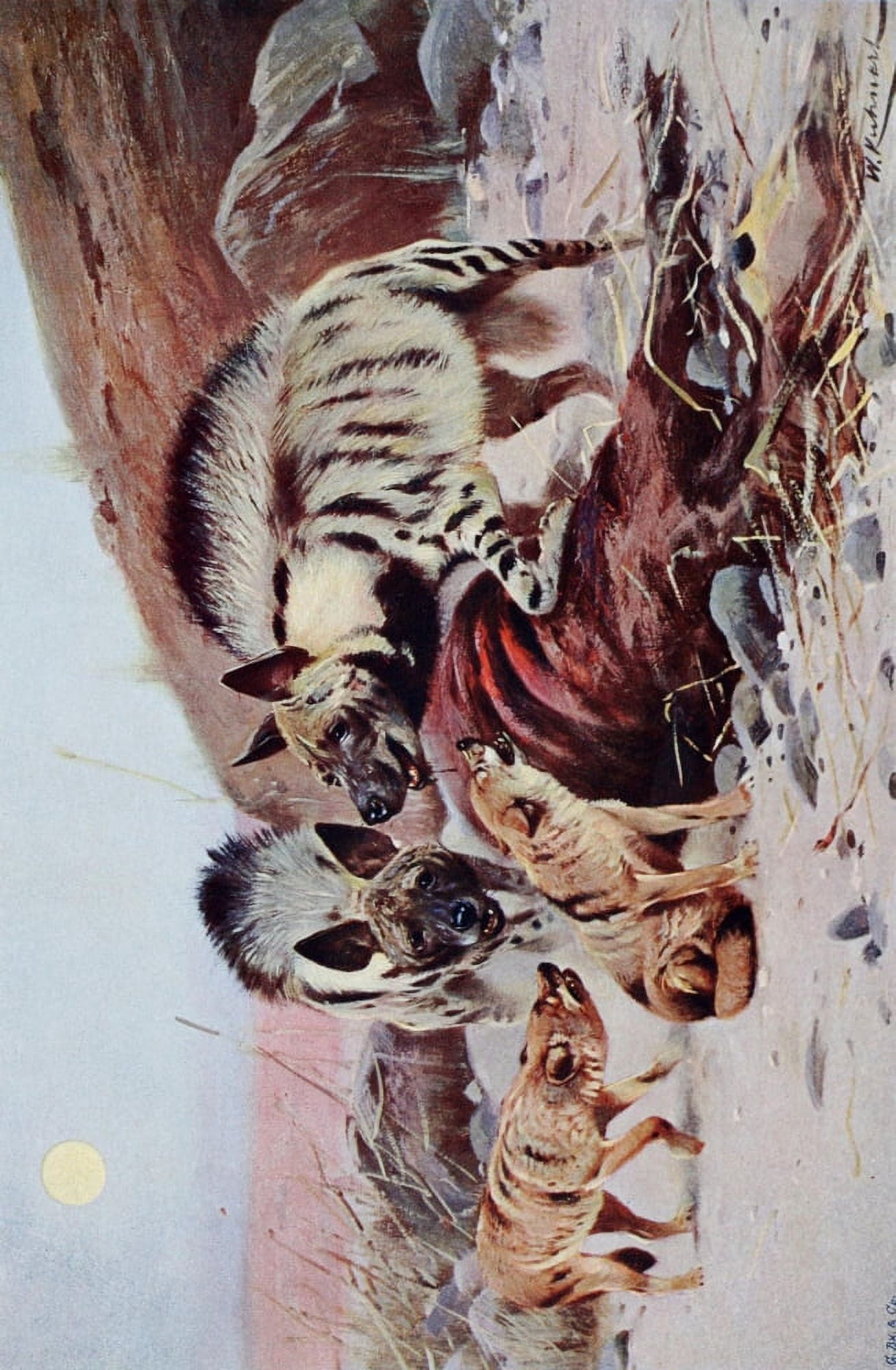 Royal Natural History 1893 Striped Hyena & Jackal Canvas Art - Friedrich Wilhelm Kuhnert (18 x 24)
