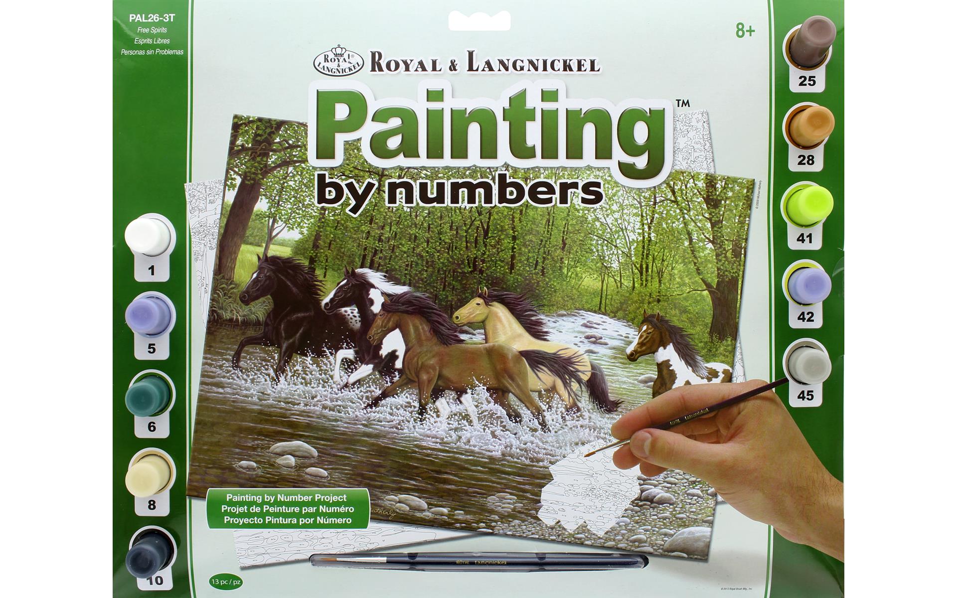 Royal Langnickel Paint by Number Kit - Free Spirit