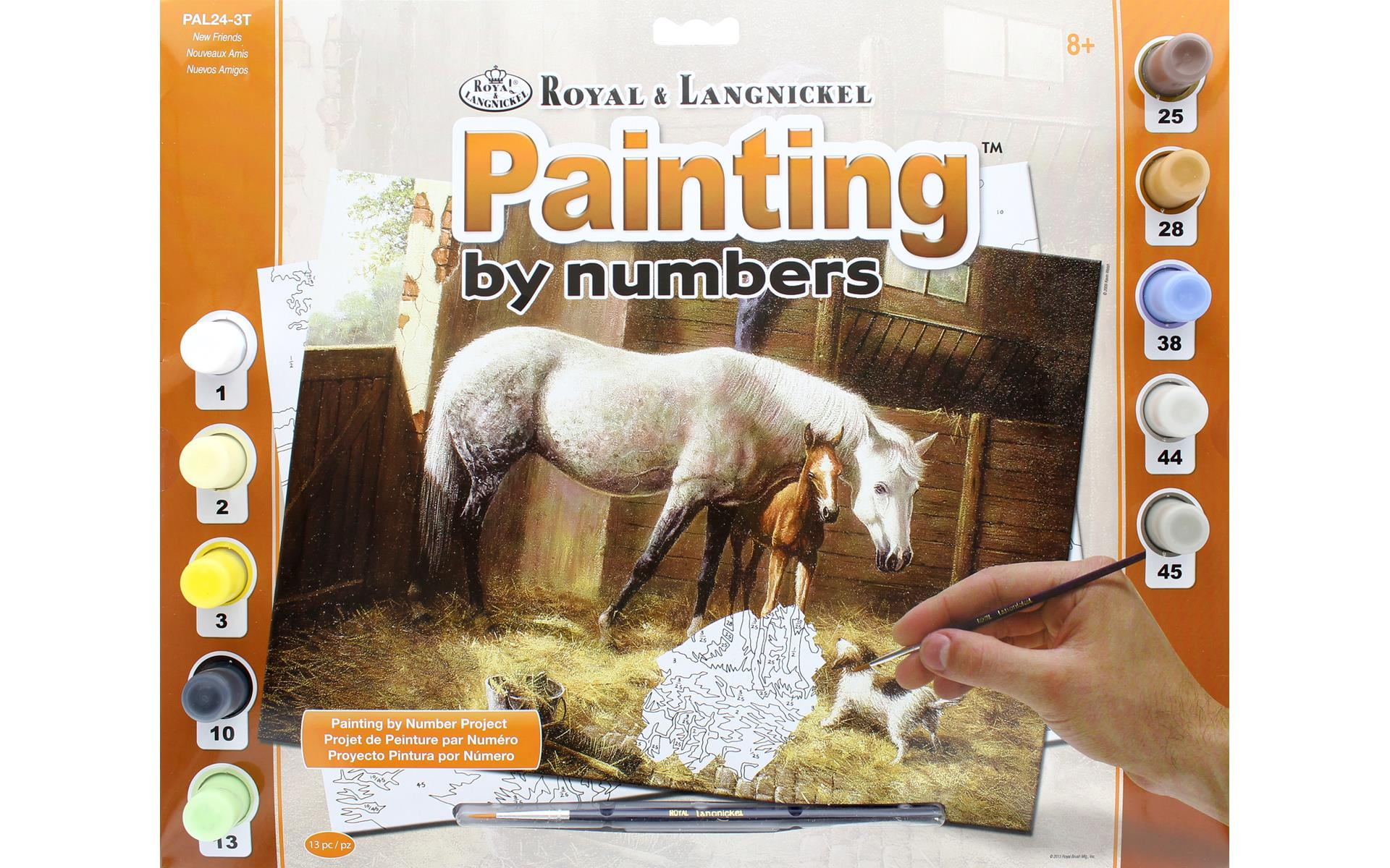 Royal Paint By Number Adult Lg New Friends 