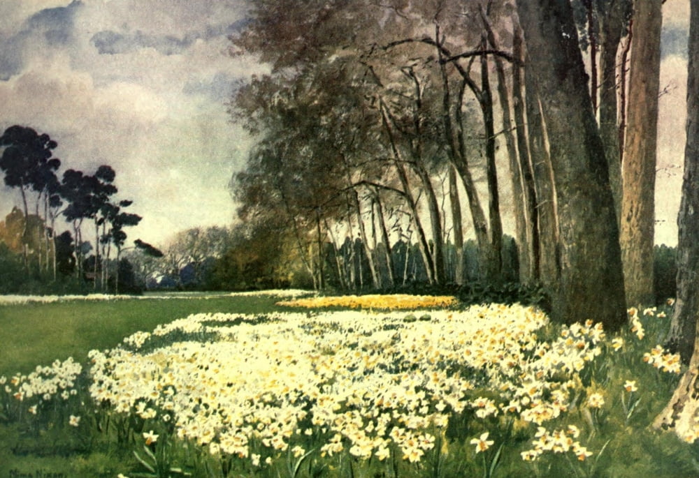 Royal Palaces & Gardens 1916 The Park Sandringham Canvas Art - Mima Nixon (18 x 24)