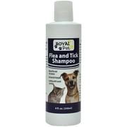 Royal Pet Flea and Tick Shampoo 9 oz 1pack