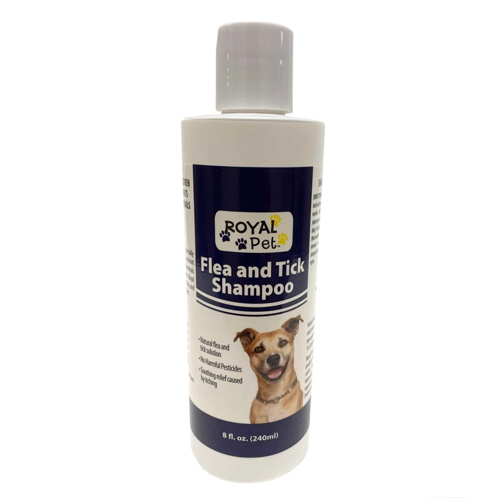 Natural flea shampoo for puppies hot sale