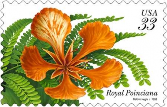 Royal Poinciana Canvas Art - US POSTAL SERVICE (24 x 36)