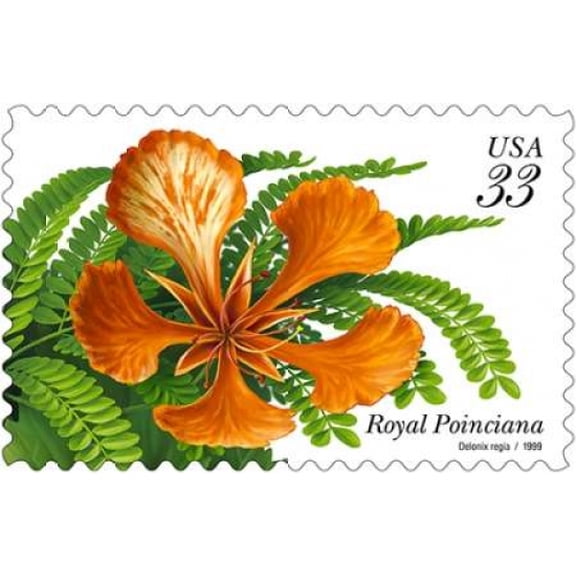 Royal Poinciana Canvas Art - US POSTAL SERVICE (24 x 36)