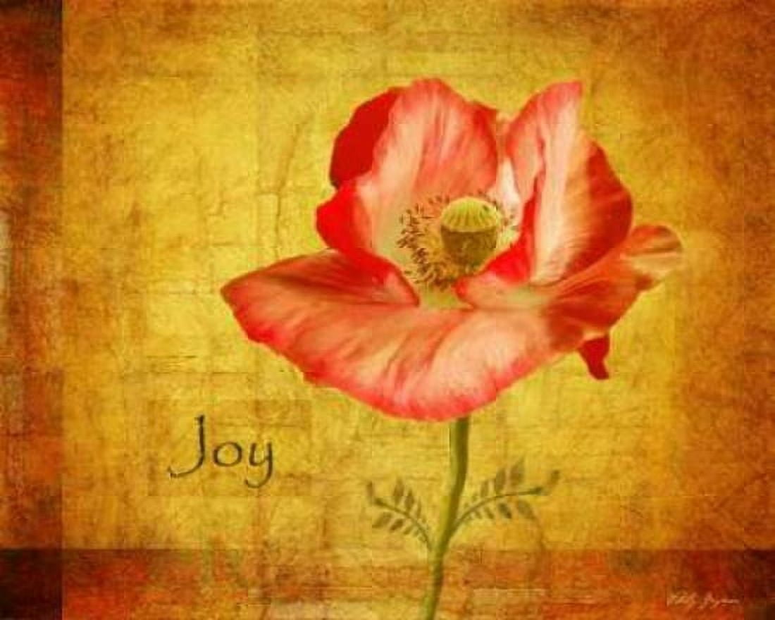 Royal Poppy Joy Canvas Art - Vitaly Geyman (24 x 30)