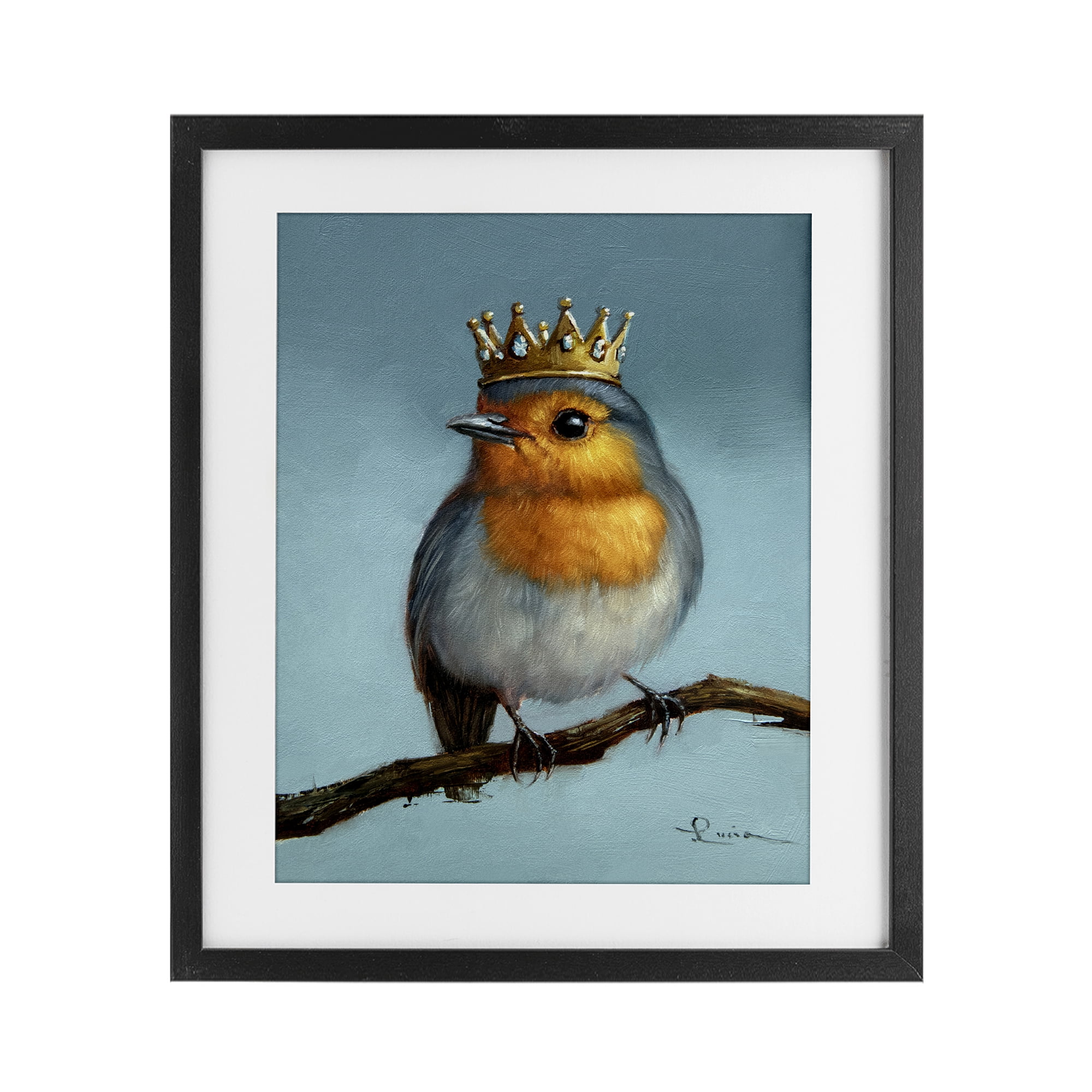 Royal Robin Perched Black Framed Print Under Glass, design by Lucia Heffernan