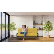 Royal Sleep Products by The Futon Factory 6 inch Foam Futon Mattress - Solid Mustard Cover - Queen Size - CertiPUR Certified Foams - Made in USA - Replacement Mattress - Frame not Included