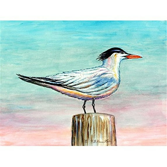 Royal Tern Place Mat Set of 4