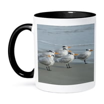 3drose, Royal Terns, New Smyrna Beach, Florida, Usa, 11oz Two-tone Black Mug