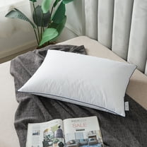 Royal Velvet White European Down and Nano Feather Pillow - Standard/Queen