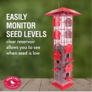 Royal Wing 336BTSC Red Barn Squirrel-Proof Bird Feeder, 2 lb. Capacity