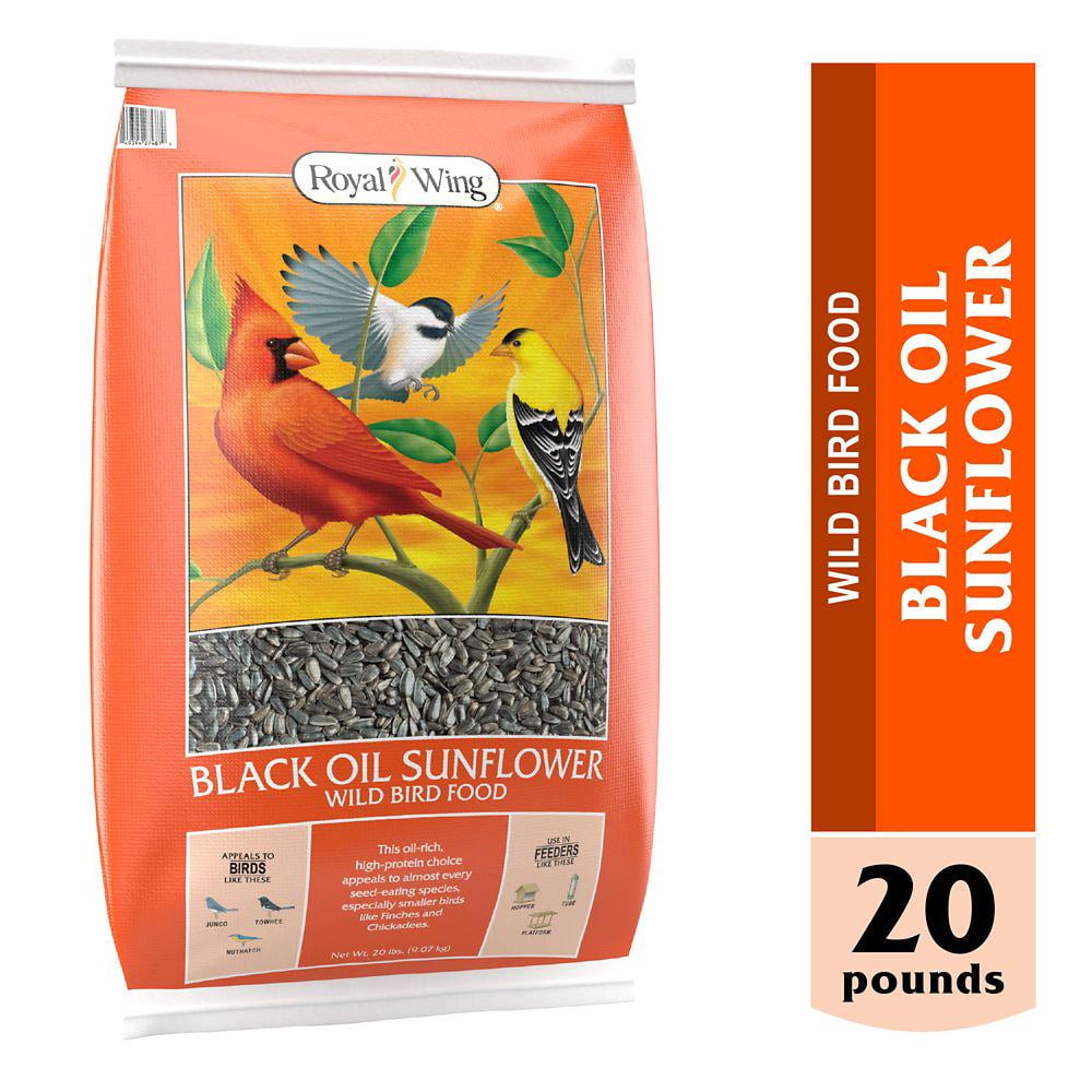 20 lb. Royal Wing Black Oil Sunflower Seed Wild Bird Food