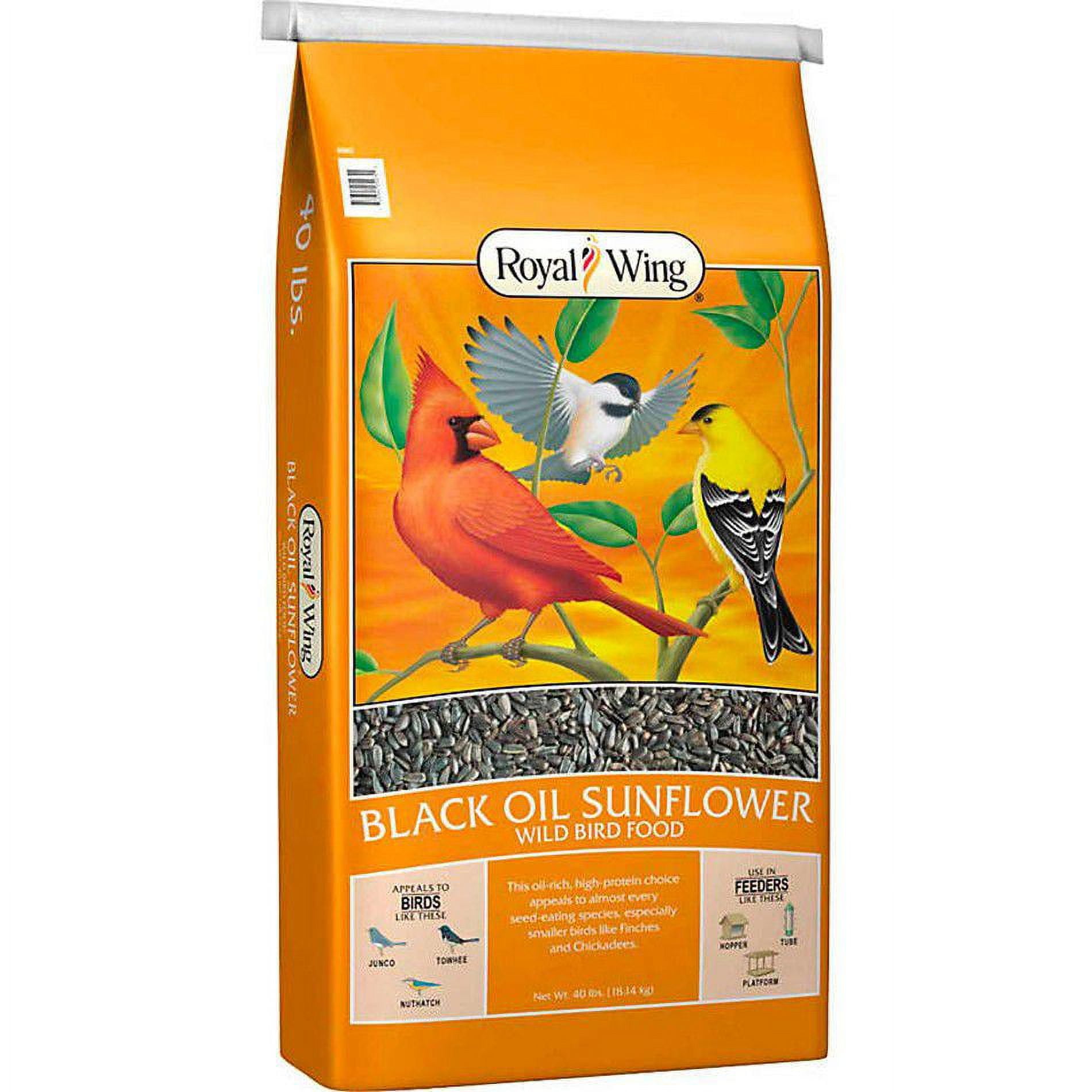 Royal Wing Black Oil Sunflower Wild Bird Food 40 lb. Walmart