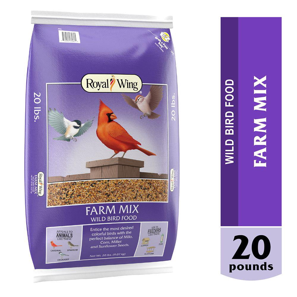 Royal Wing Bird Feed