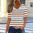 thumbnail image 1 of Royisotas Casual Plus Size Tops for Women Brown Short Sleeve Summer Shirts V-Neck Striped T Shirts, 1 of 1