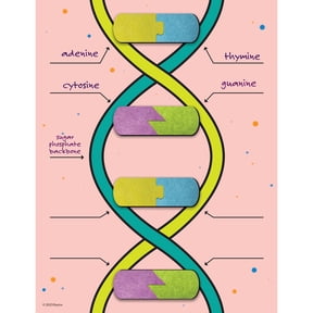 Roylco DNA Builder, 9 Pieces