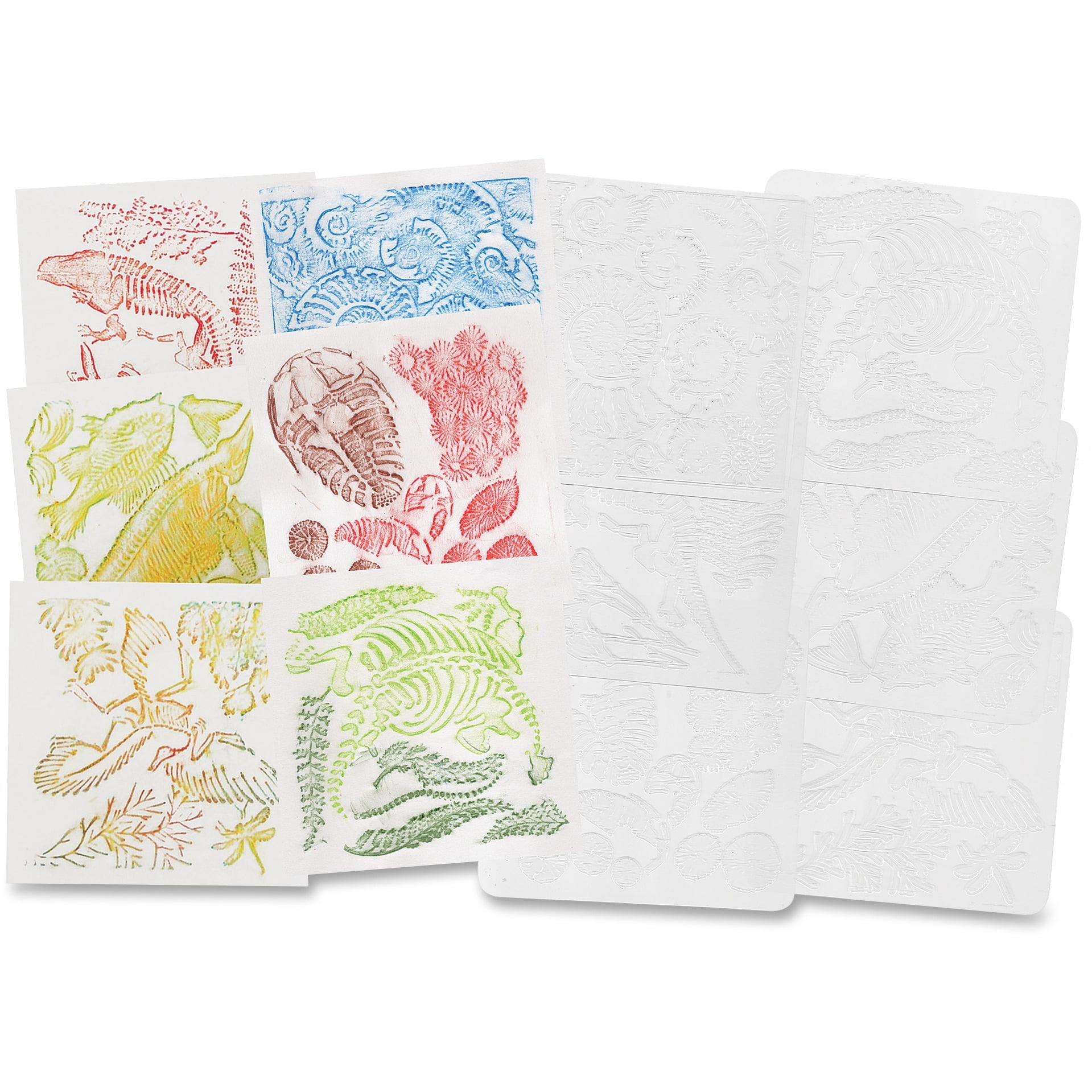 Roylco Fossil Rubbing Plates, Clear, 6 / Pack (Quantity)