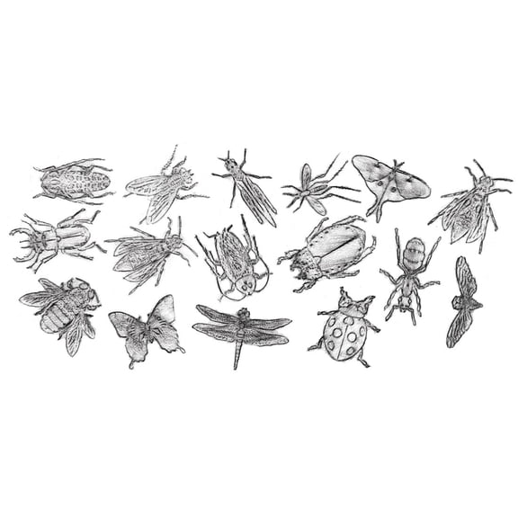 Roylco Rubbing Plates, Insects, Pack of 16