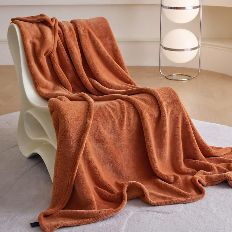 Flannel Blanket Purely Soft Plush Throw Blanket Heated Electric