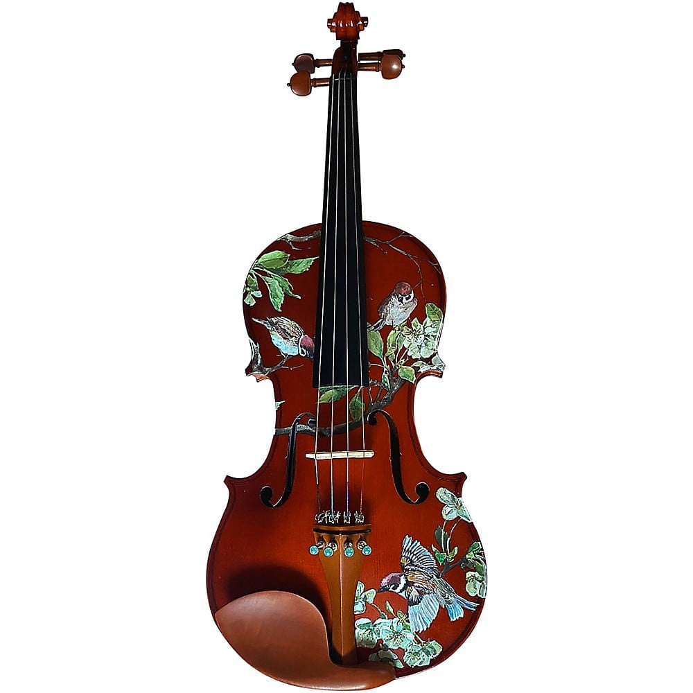 Rozanna's Violins Bird Song Series 4/4 Violin Outfit with Accessories