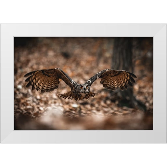 Rozehnal, Jan 14x11 White Modern Wood Framed Museum Art Print Titled - The Eurasian Eagle-Owl (Bubo Bubo)