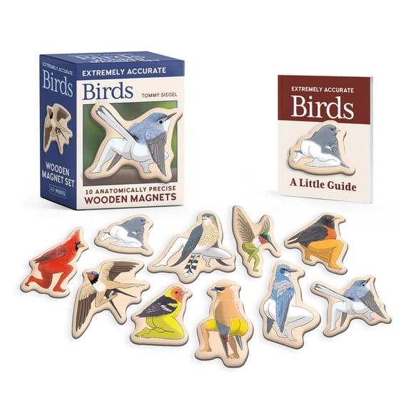 Rp Minis Extremely Accurate Birds Wooden Magnet Set: 10 Anatomically Precise Magnets, (Paperback)