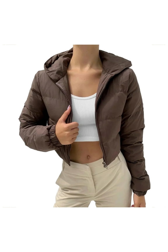 Women's Lightweight Full Zip Soft Polar Fleece Jacket Outdoor Casual Coat with Zip Up Jacket Pockets Long Coats Trendy Brown,L