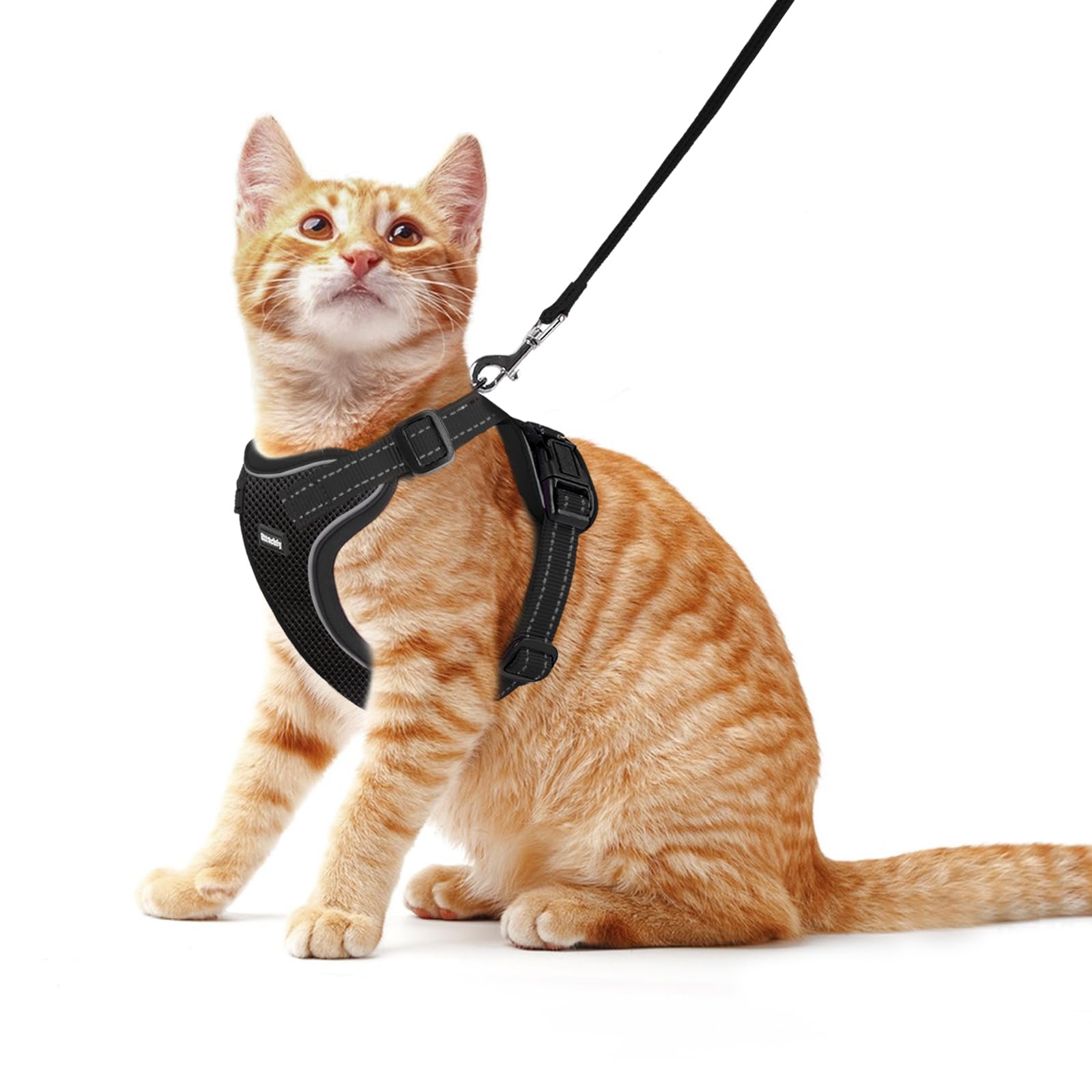 Image showcasing Rttochfy Cat Harness and Leash Set, Adjustable and Reflective Cat Vest ...