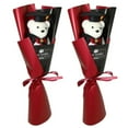 thumbnail image 1 of RuWeoMaa 2Pcs Graduation Plush Bear Bouquet 2025 Graduation Plush Bouquet Present Cute Bear Doll Floral Arrangement for Graduation Party Favors Photo Prop for Celebrations Chic Design, 1 of 8