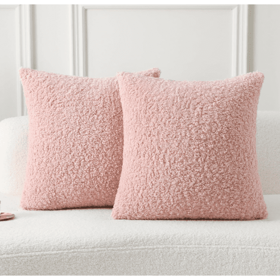 RuWeoMaa Shearling Throw Pillow Covers 18x18 Inch Set of 2,Furry Faux Fur Teddy Boucle Textured Cushion Covers,Soft Fluffy Decorative Pillow Case,Home Decor for Couch Bed Living Room Office Car