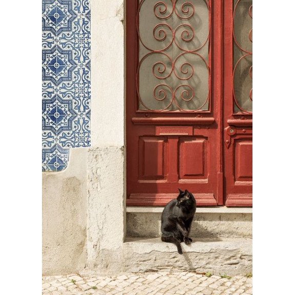 Rua Do Gato Print Wall Art, Modern Wall Decor For Living Room Bedroom, 8x12 UNFRAMED