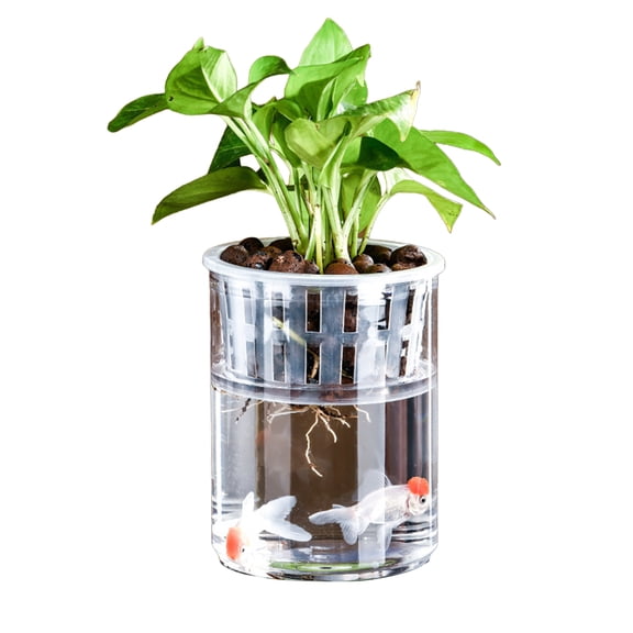 Ruanlalo Aquaponic Betta Fish Tank Transparent Plastic Shatterproof Planter Ecosystem Aquarium Desktop Aquaponic System for Betta Fish Houseplants