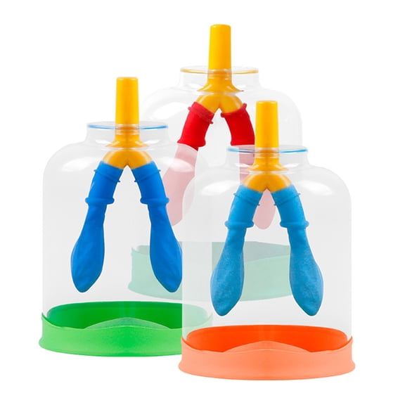 Ruanlalo Lung Breathing Function Demonstration Model 3D Human Lung Breathing Simulation Device School Students Educational Scientific Experiments Teaching Aid