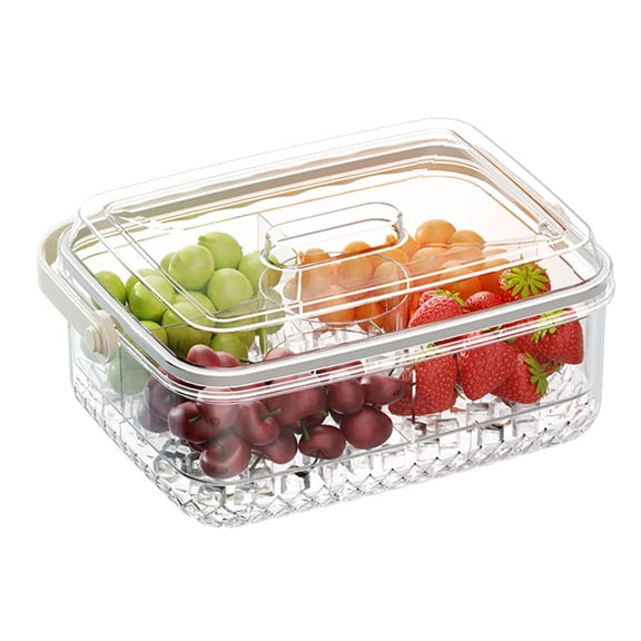 Ruanlalo Serving Tray with 5 Dividers Lid Double-Walled Ice Tray Fruits Vegetables Shrimp Cocktails Party Appetizer Platter Snack Server