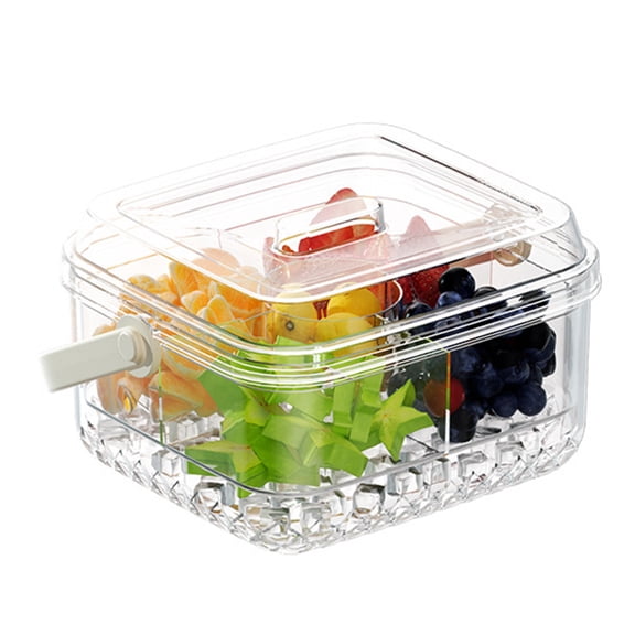 Ruanlalo Serving Tray with 5 Dividers Lid Double-Walled Ice Tray Fruits Vegetables Shrimp Cocktails Party Appetizer Platter Snack Server