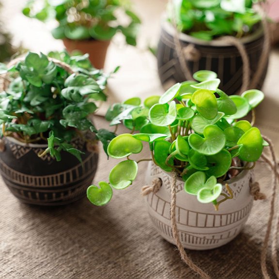 Ruanlalo Simulation Plant,Simulation Green Plant Succulents Hands Feeling Not Withered Non-fading Easy Care Fine Workmanship Ornament Long Lasting Coriander Leaves Artificial Leaf Home Decor