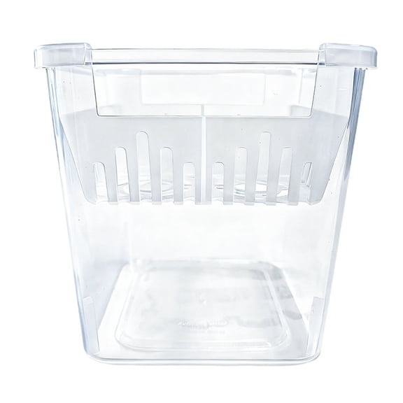 Ruanlalo Tulip Bulb Planter 4-Cell Hydroponic Flower Pot with Reservoir Clear Plant Pot with Inner Drainage Pot for Indoor Gardening