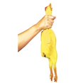 thumbnail image 1 of Rubber Chicken Comedy Halloween Decoration, 1 of 1
